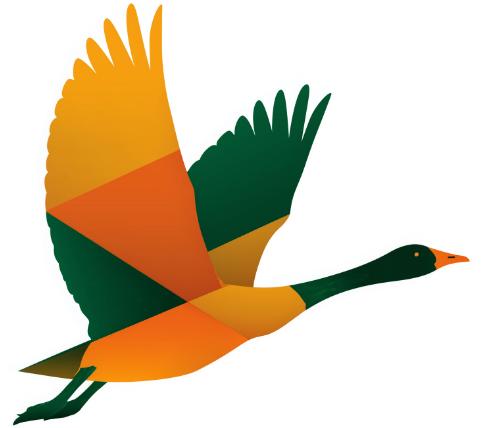 The Irish Wild Geese